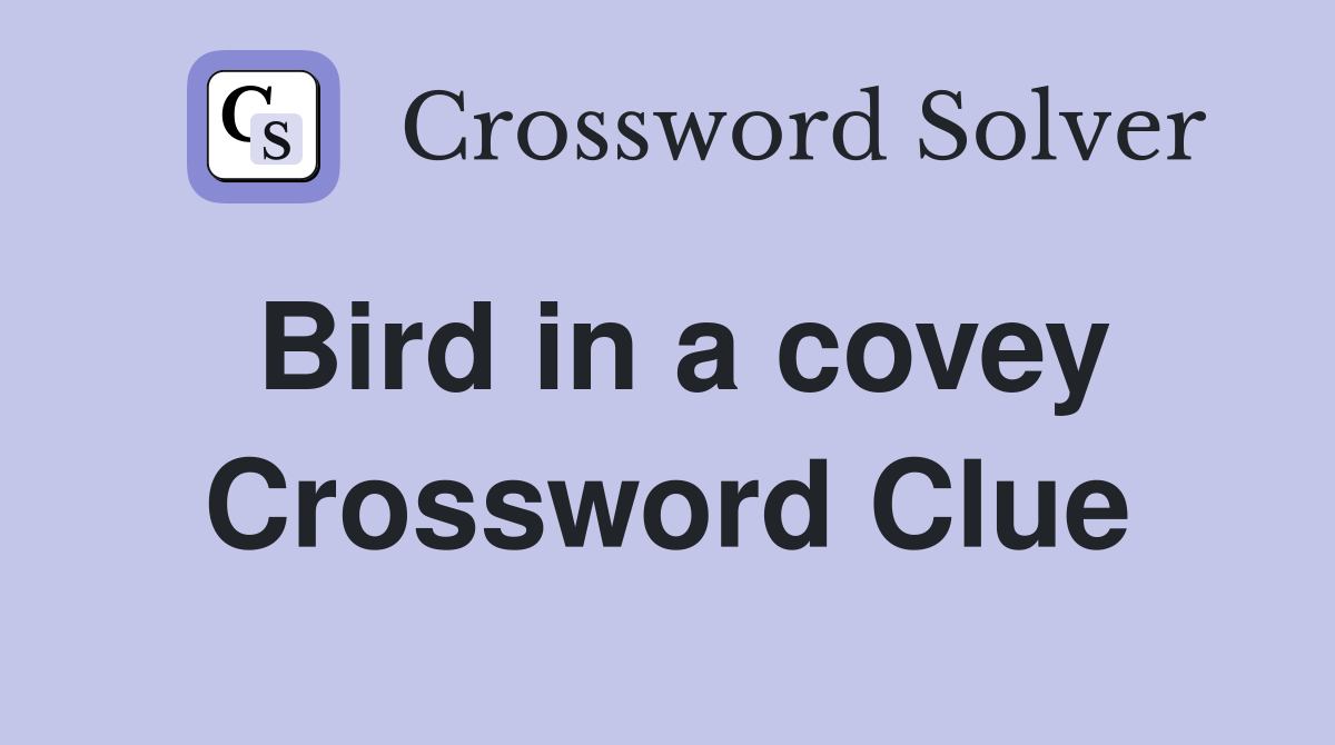 Bird in a covey Crossword Clue