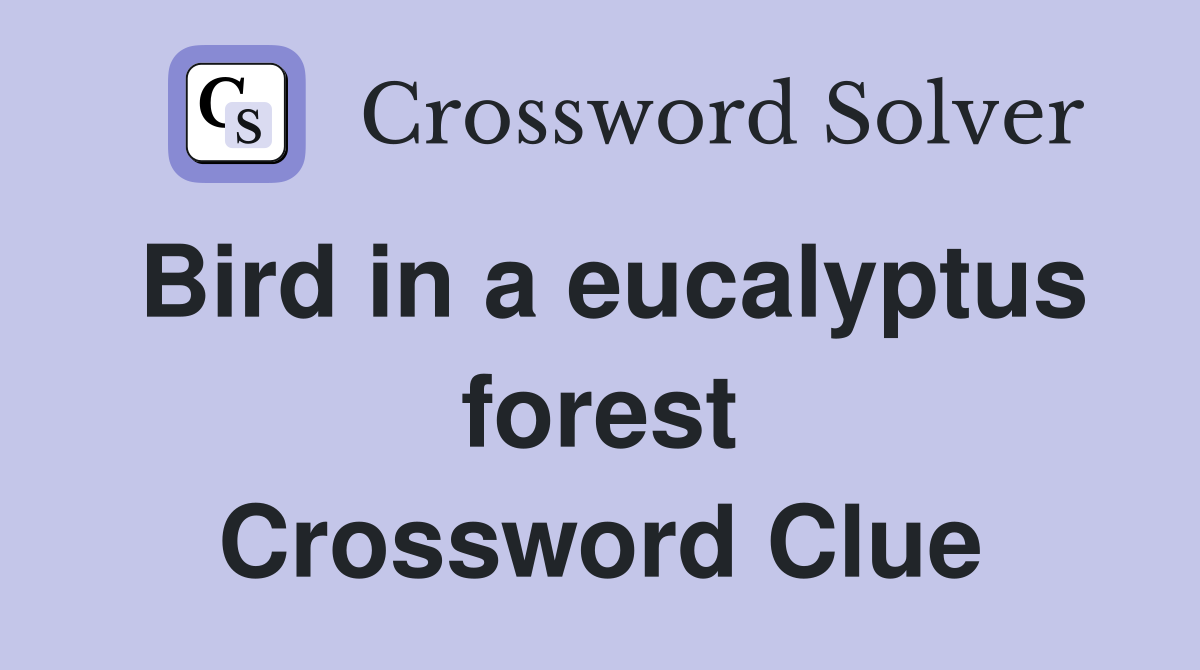 Bird in a eucalyptus forest Crossword Clue