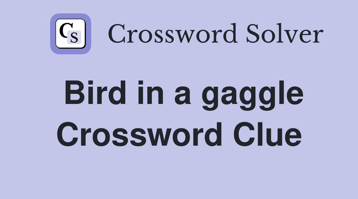Bird in a gaggle Crossword Clue