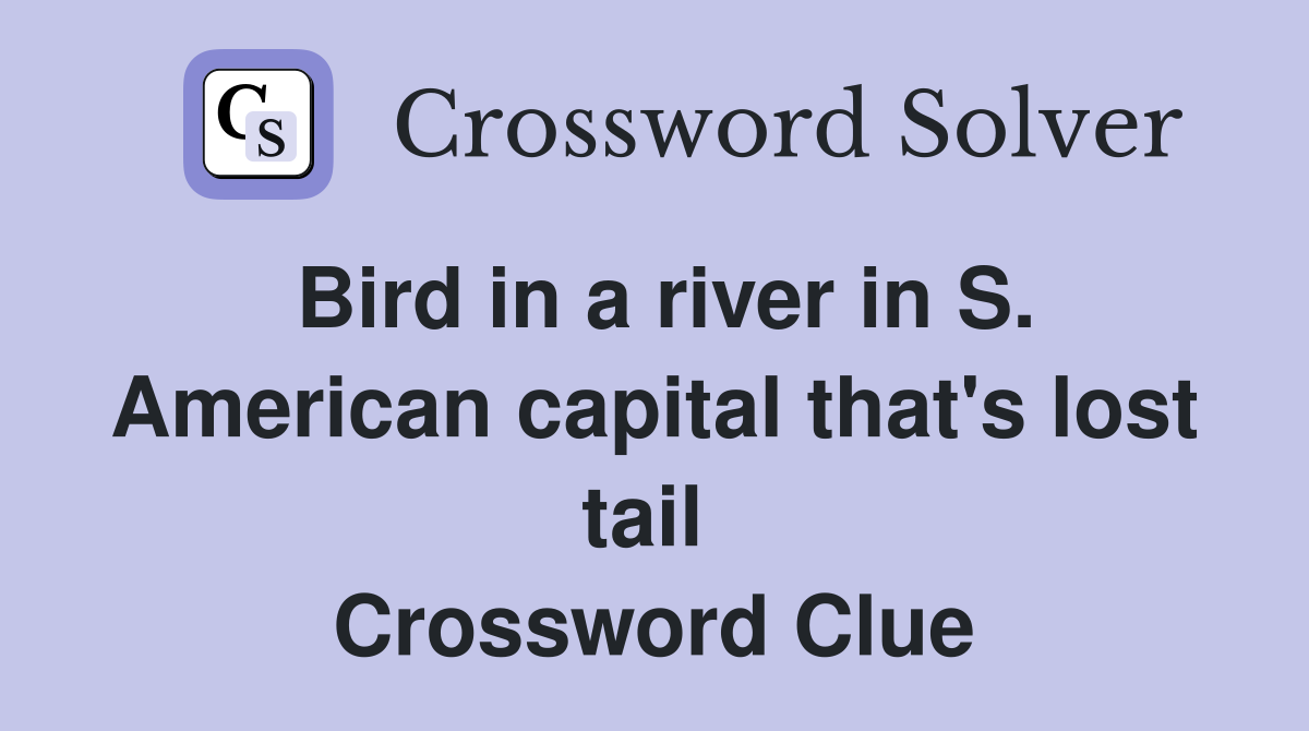 Bird in a river in S. American capital that's lost tail  Crossword Clue