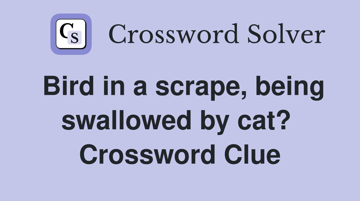 Bird in a scrape, being swallowed by cat?  Crossword Clue