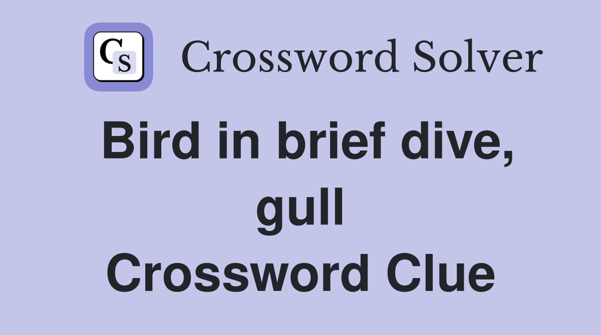 Bird in brief dive, gull Crossword Clue