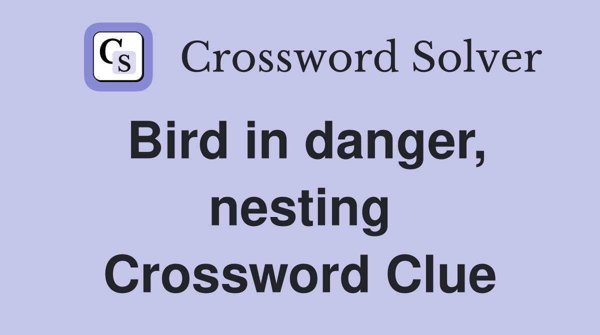 Bird in danger, nesting Crossword Clue