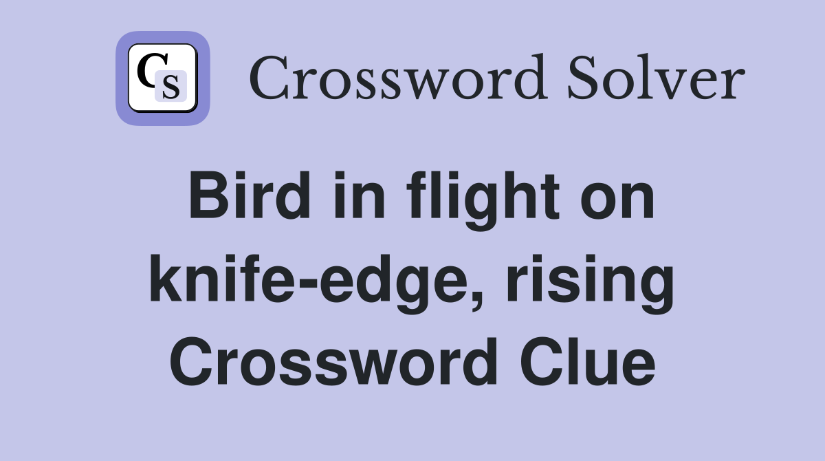 Bird in flight on knife-edge, rising Crossword Clue
