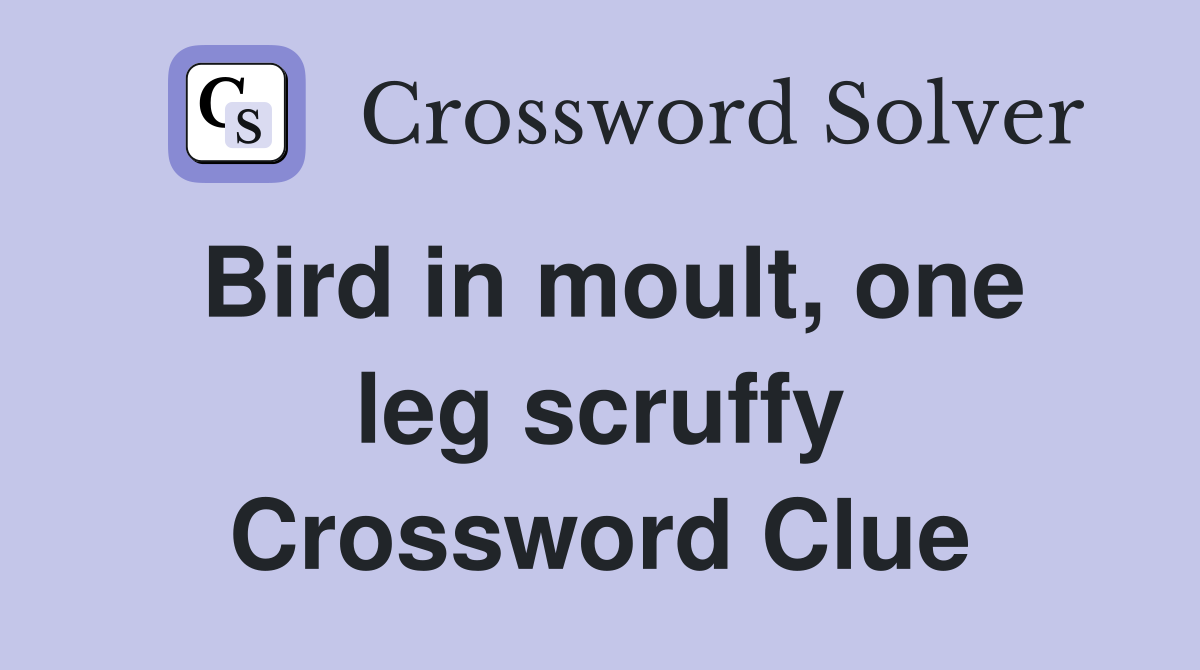 Bird in moult, one leg scruffy Crossword Clue