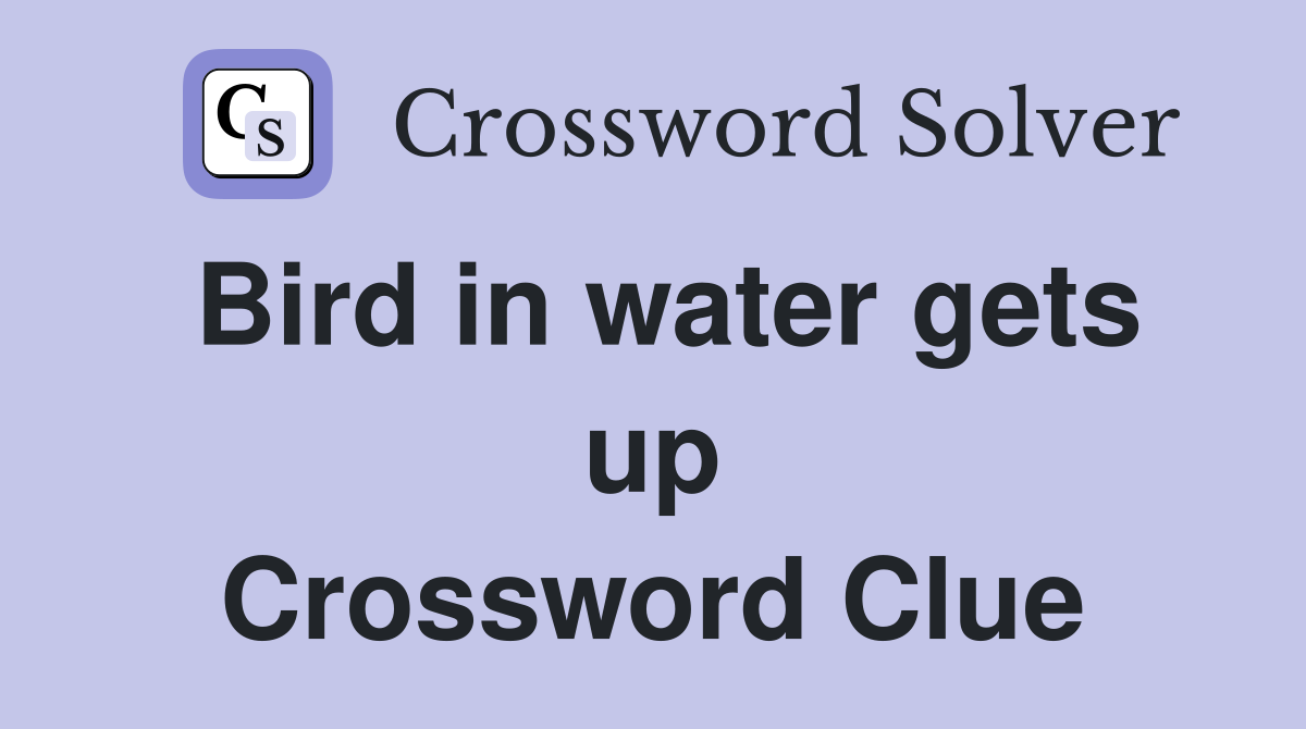Bird in water gets up Crossword Clue