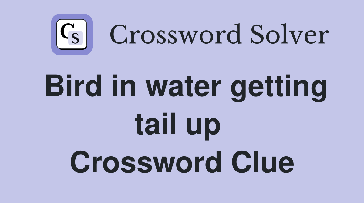 Bird in water getting tail up  Crossword Clue
