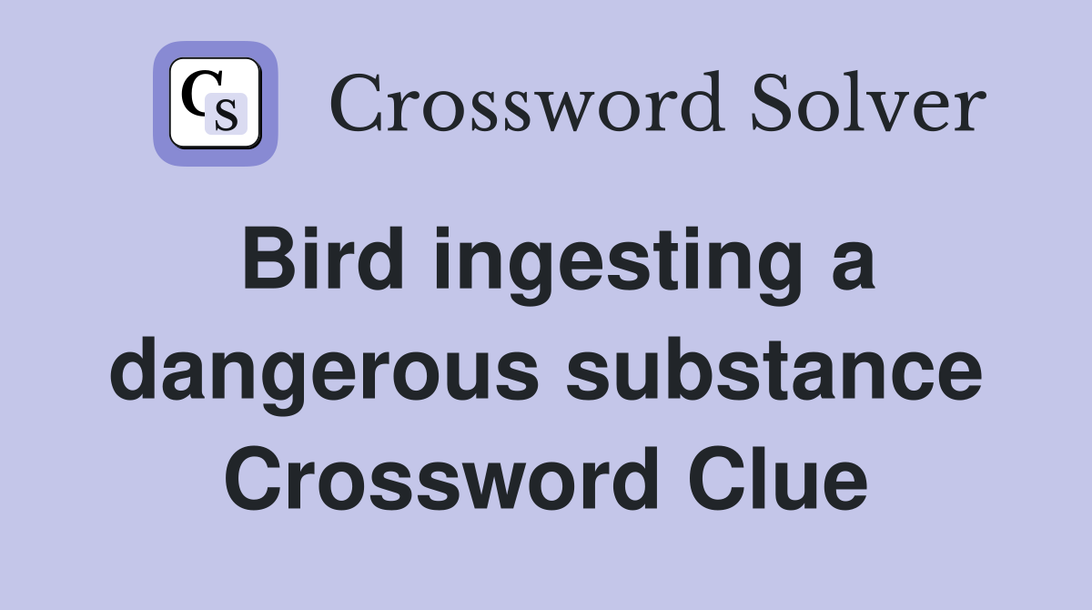 Bird ingesting a dangerous substance Crossword Clue