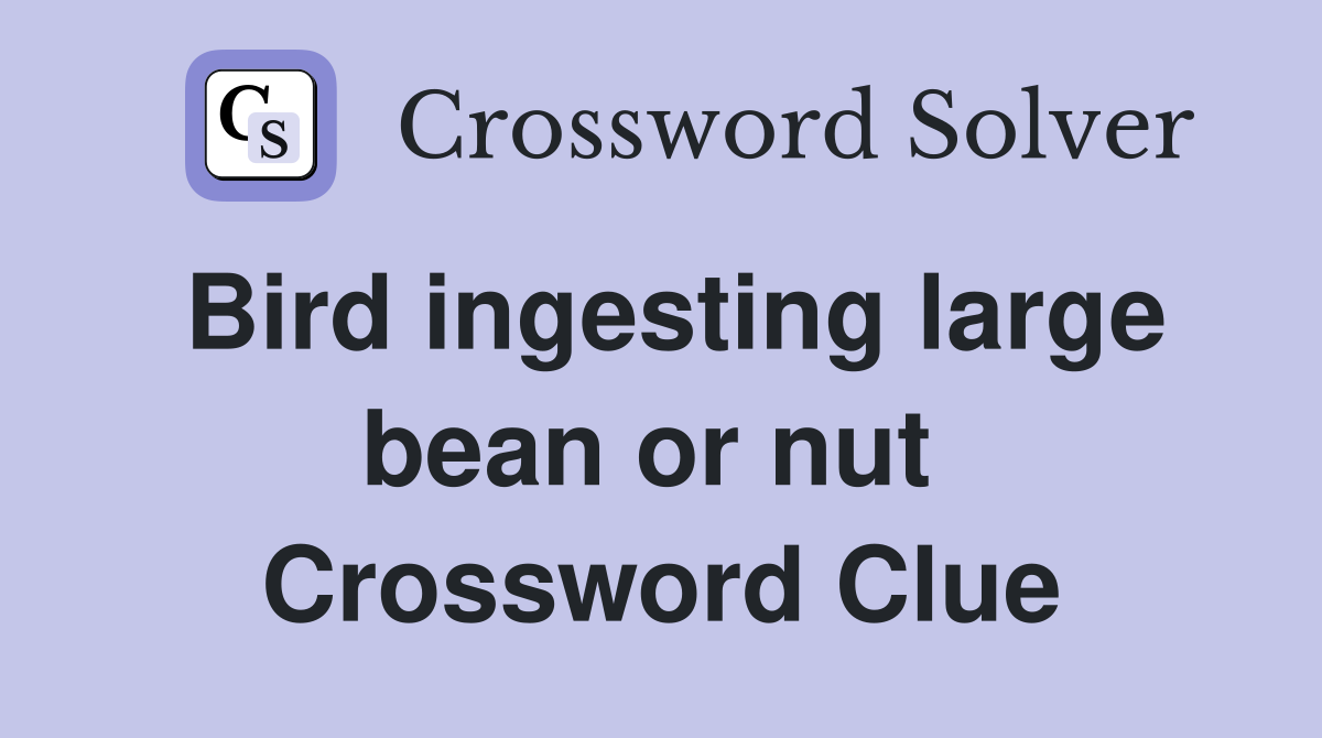 Bird ingesting large bean or nut  Crossword Clue