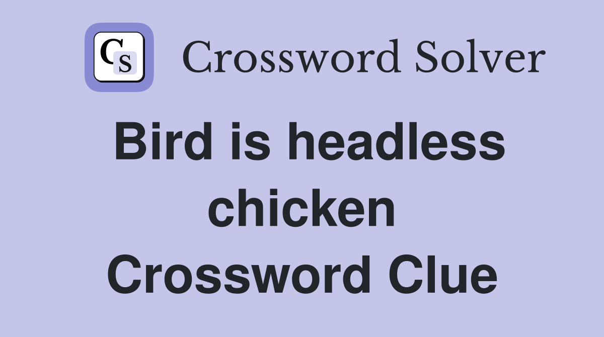 Bird is headless chicken Crossword Clue