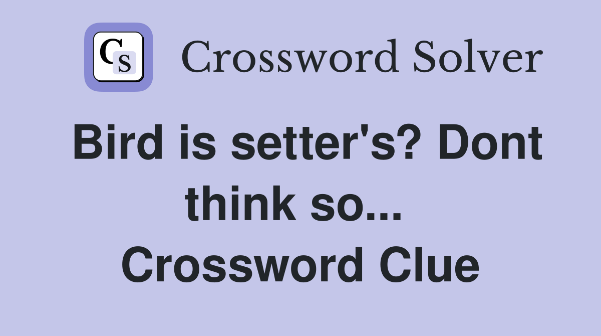 Bird is setter's? Dont think so...  Crossword Clue