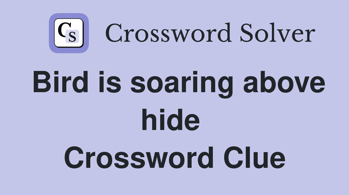 Bird is soaring above hide  Crossword Clue