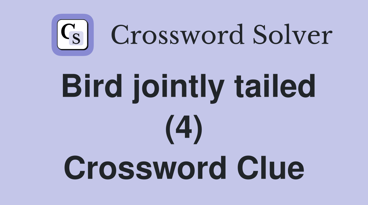 Bird jointly tailed (4) Crossword Clue