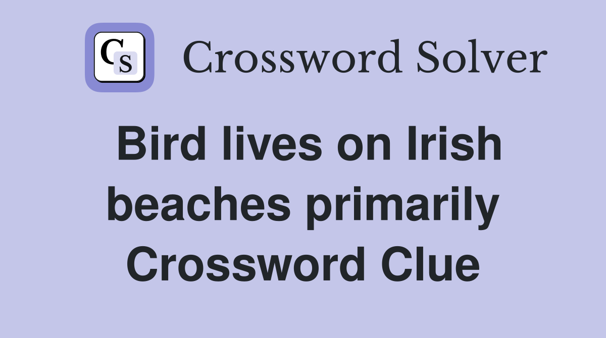 Bird lives on Irish beaches primarily Crossword Clue