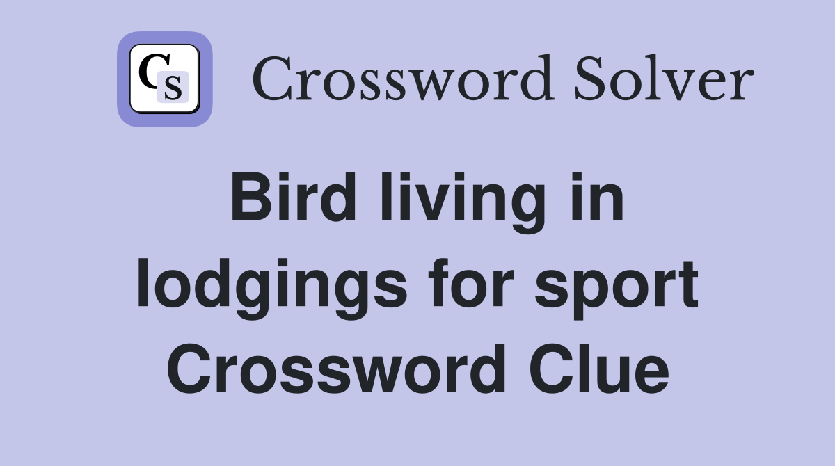 Bird living in lodgings for sport Crossword Clue