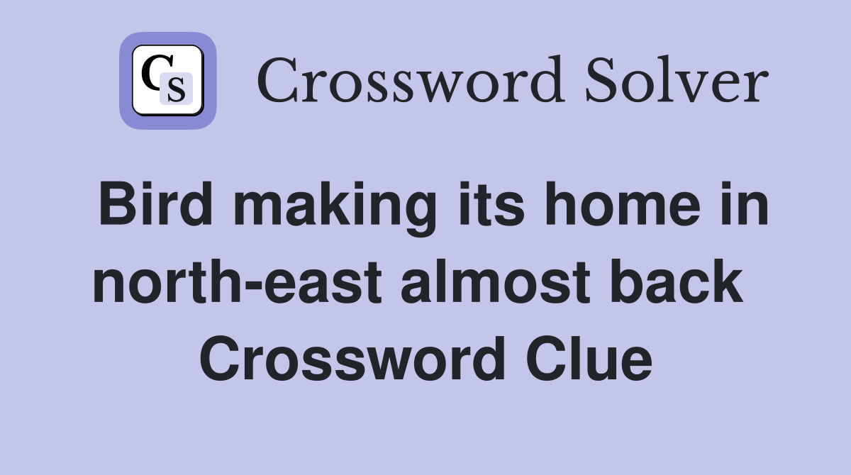 Bird making its home in north-east almost back  Crossword Clue