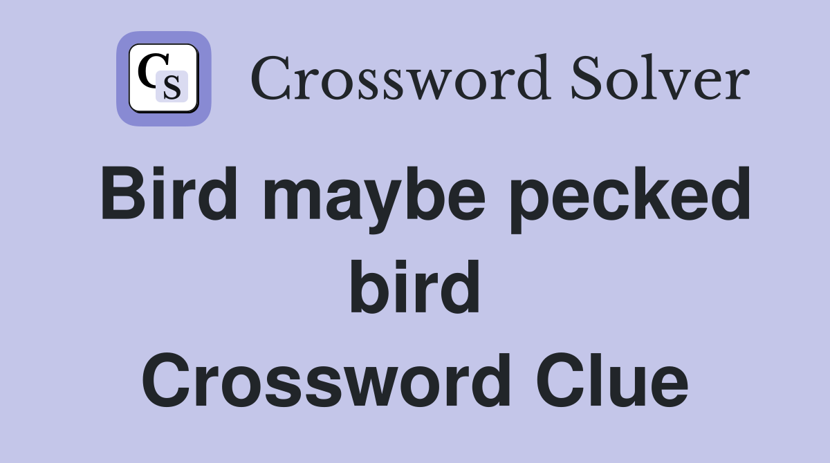 Bird maybe pecked bird Crossword Clue