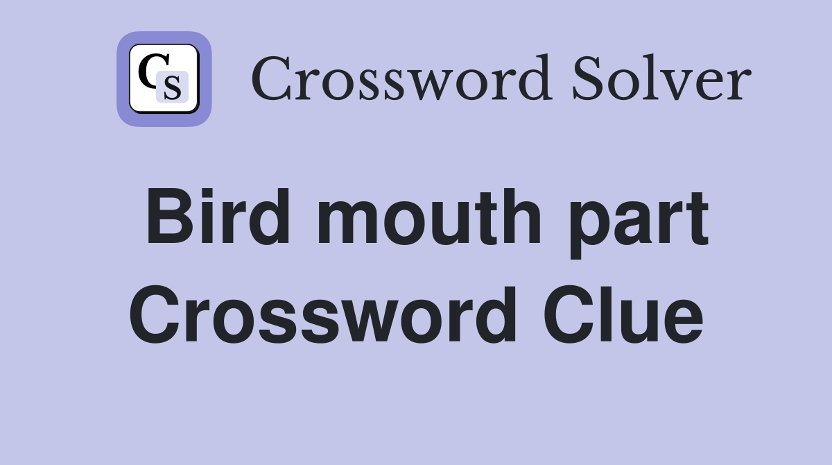Bird mouth part Crossword Clue