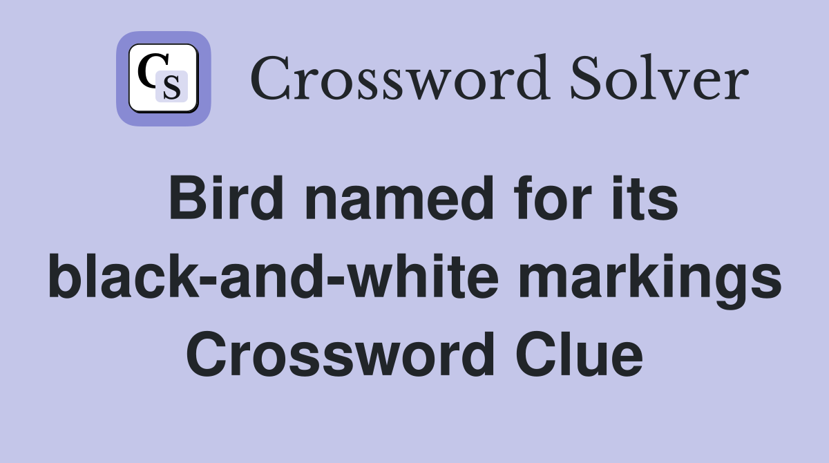 Bird named for its black-and-white markings Crossword Clue