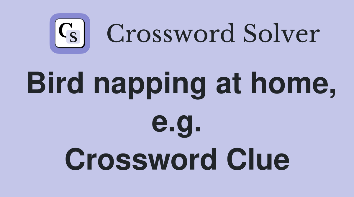 Bird napping at home, e.g. Crossword Clue