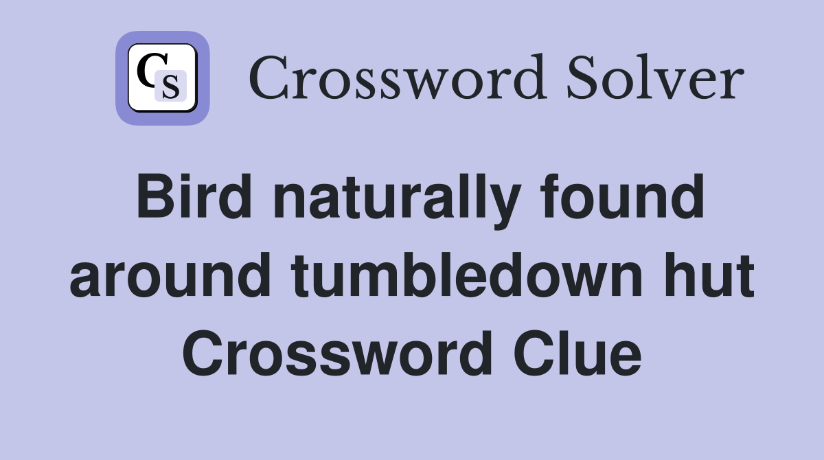 Bird naturally found around tumbledown hut Crossword Clue
