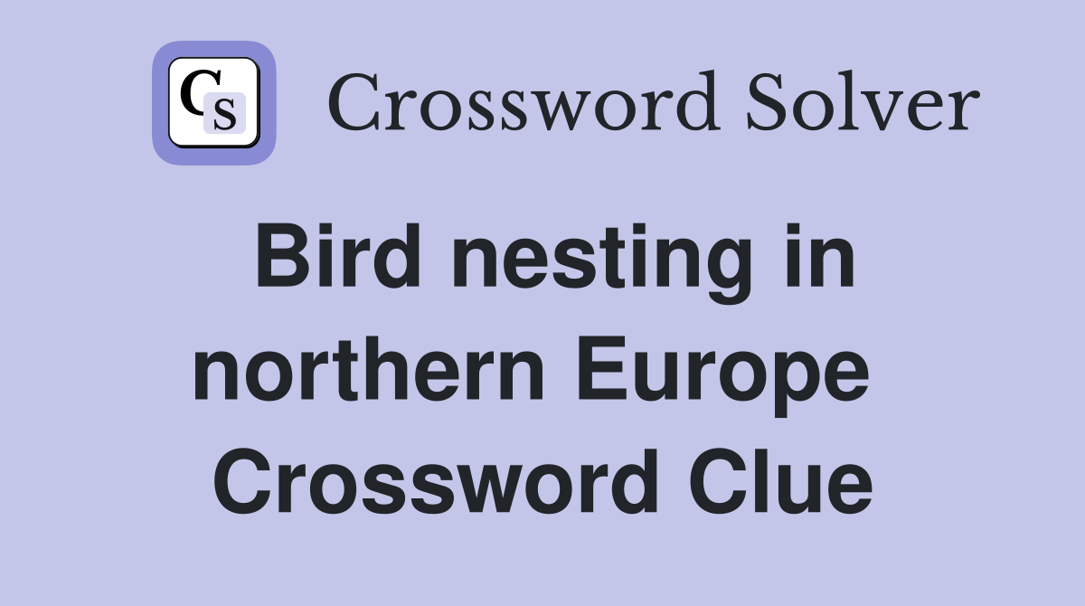 Bird nesting in northern Europe  Crossword Clue