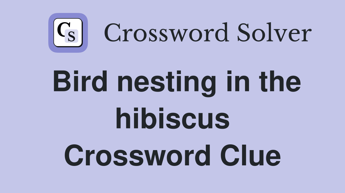 Bird nesting in the hibiscus Crossword Clue