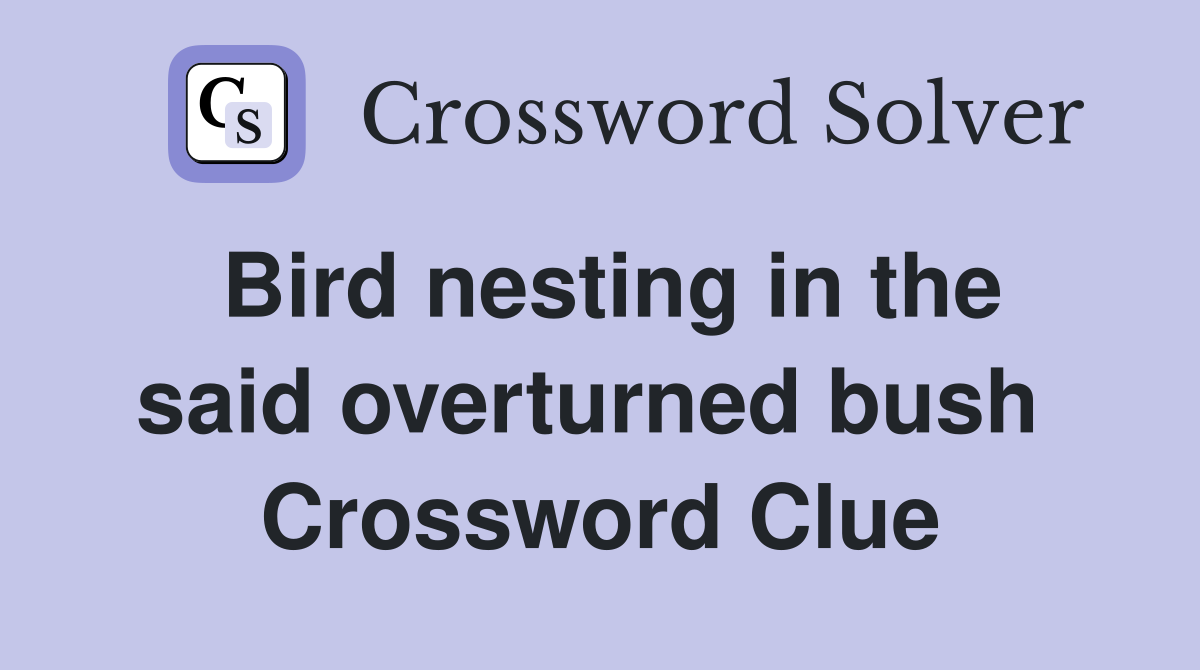 Bird nesting in the said overturned bush  Crossword Clue