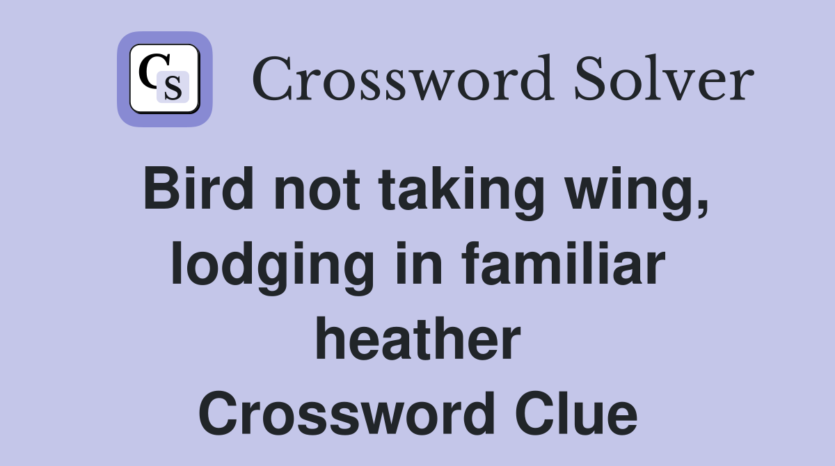 Bird not taking wing, lodging in familiar heather Crossword Clue