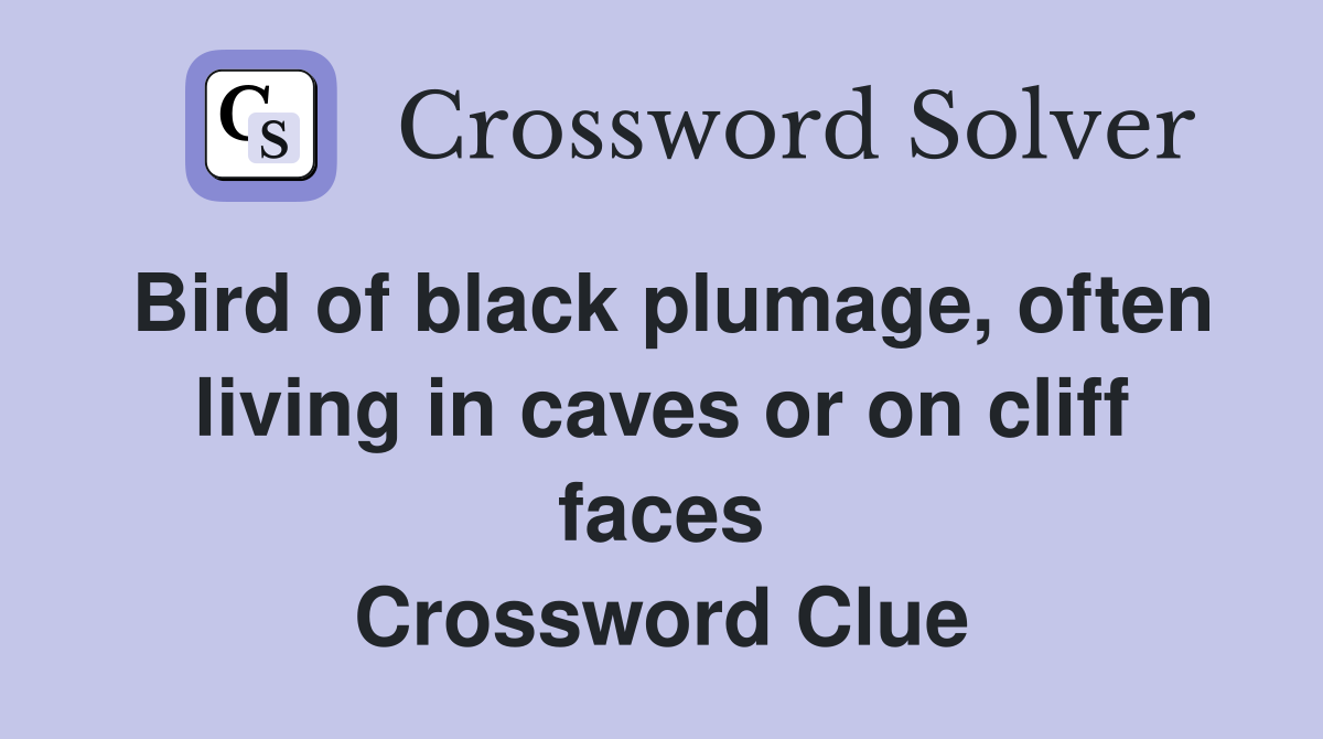 Bird of black plumage, often living in caves or on cliff faces Crossword Clue