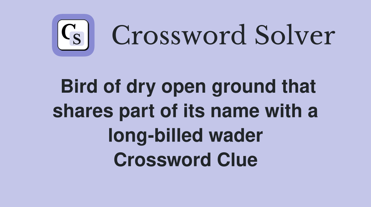 Bird of dry open ground that shares part of its name with a long-billed wader Crossword Clue