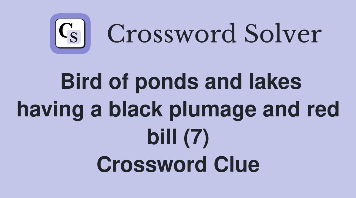 Bird of ponds and lakes having a black plumage and red bill (7) Crossword Clue