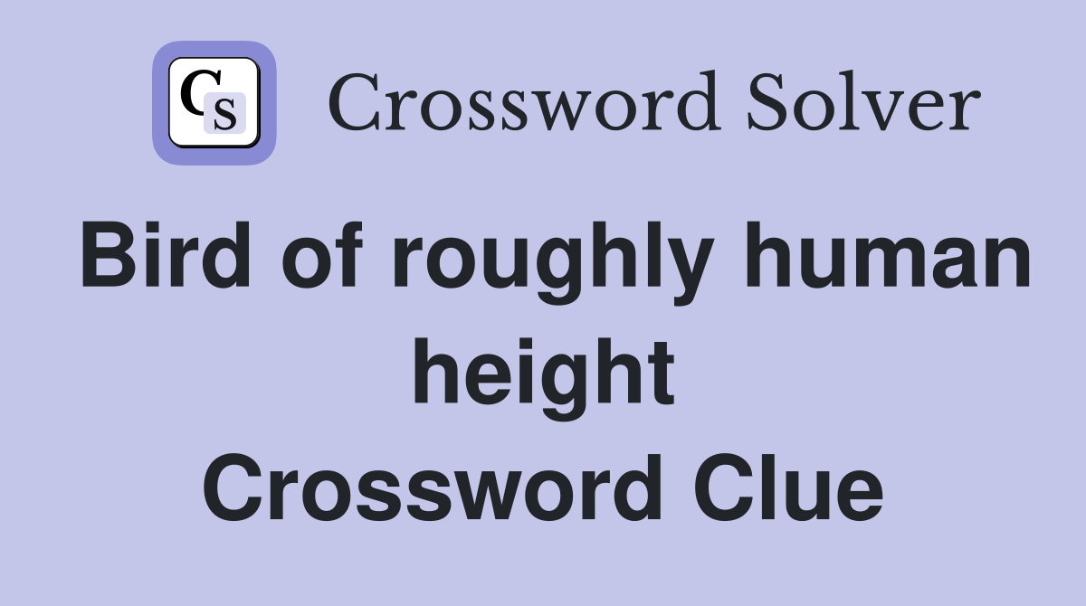 Bird of roughly human height Crossword Clue