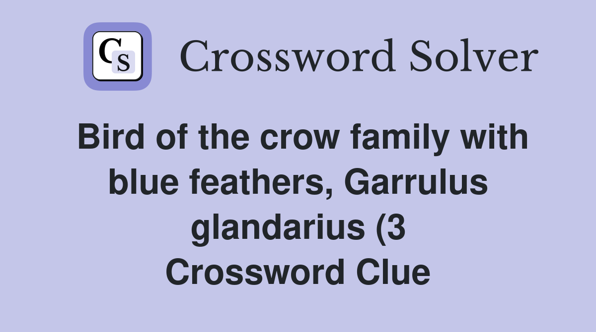 Bird of the crow family with blue feathers Garrulus glandarius (3 Bird of the crow family with blue feathers Garrulus glandarius (3