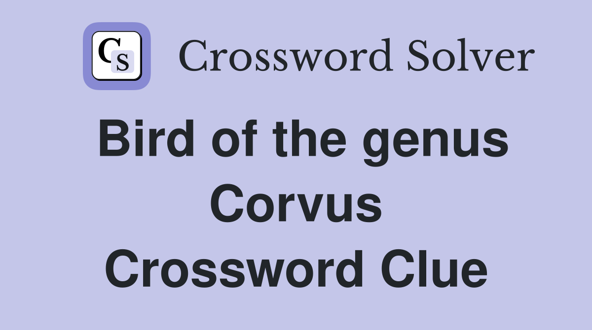 Bird of the genus Corvus Crossword Clue