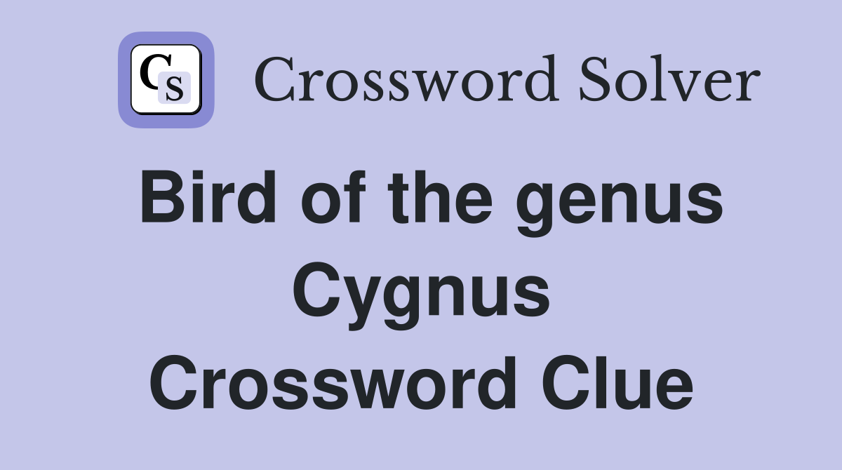 Bird of the genus Cygnus Crossword Clue