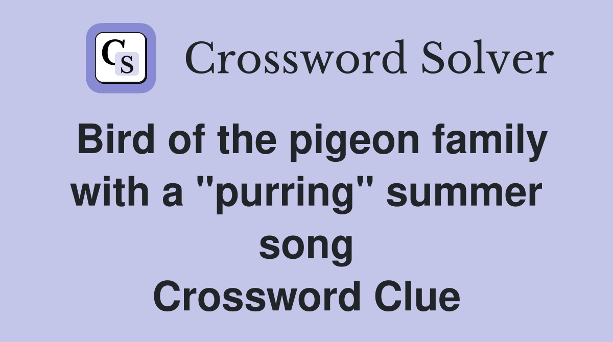 Bird of the pigeon family with a "purring" summer song Crossword Clue