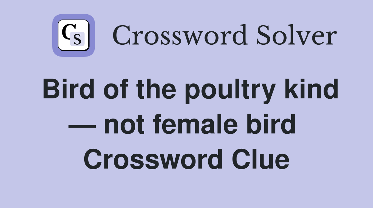 Bird of the poultry kind — not female bird  Crossword Clue