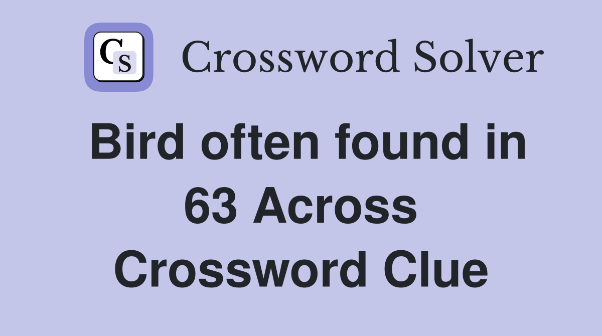 Bird often found in 63 Across Crossword Clue