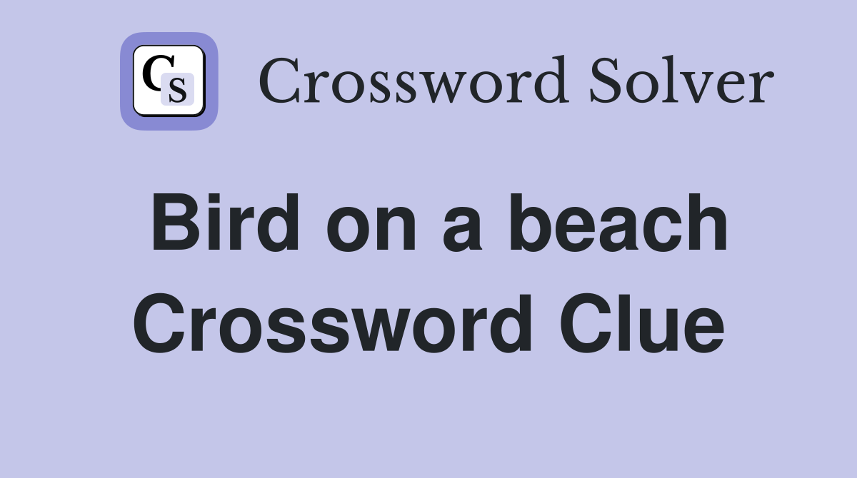 Bird on a beach Crossword Clue