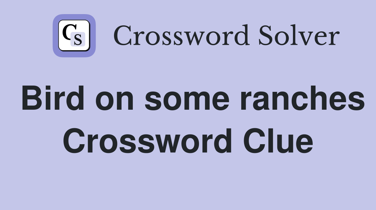 Bird on some ranches Crossword Clue