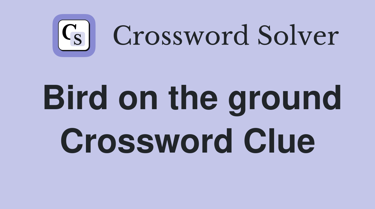 Bird on the ground Crossword Clue