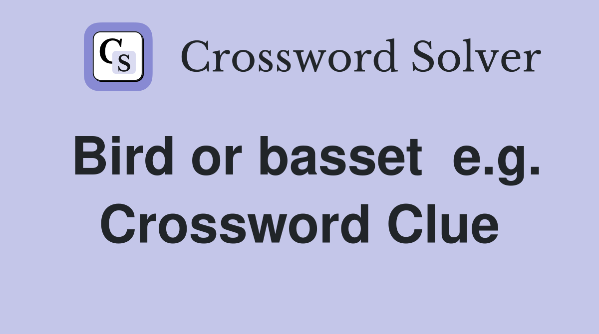 Bird or basset  e.g. Crossword Clue