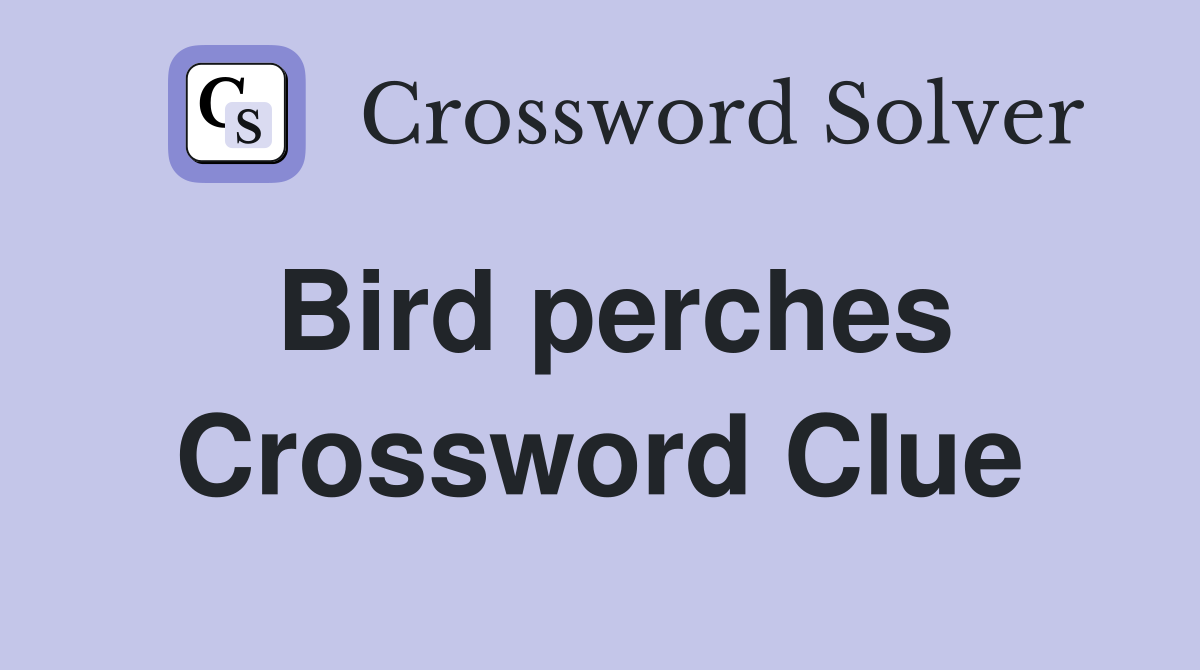 Bird perches Crossword Clue
