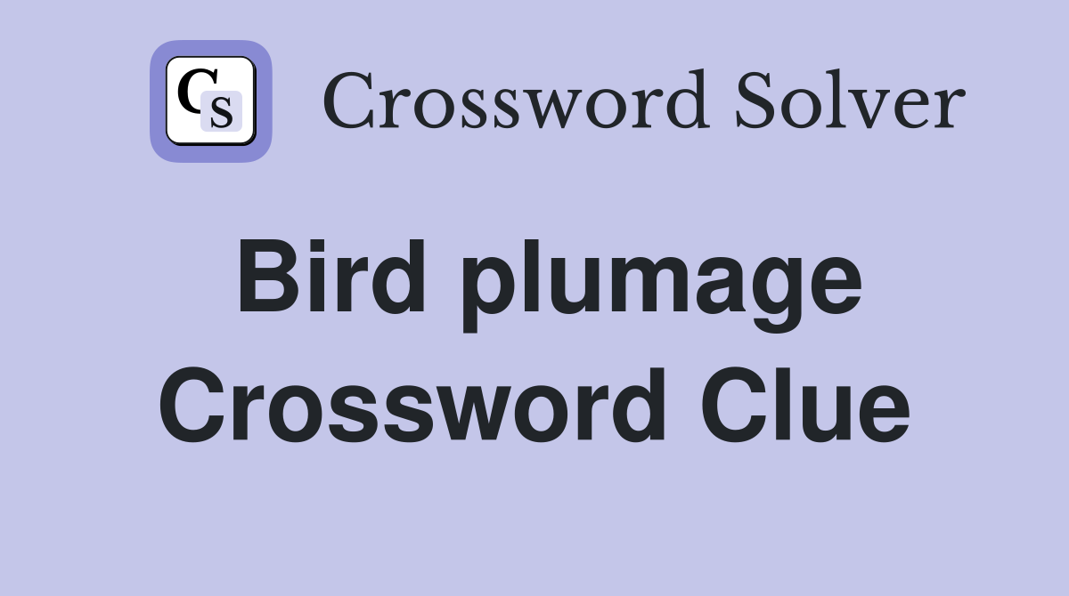 Bird plumage Crossword Clue