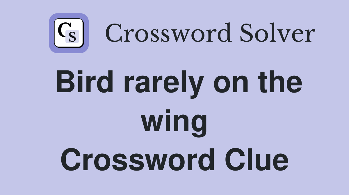Bird rarely on the wing Crossword Clue