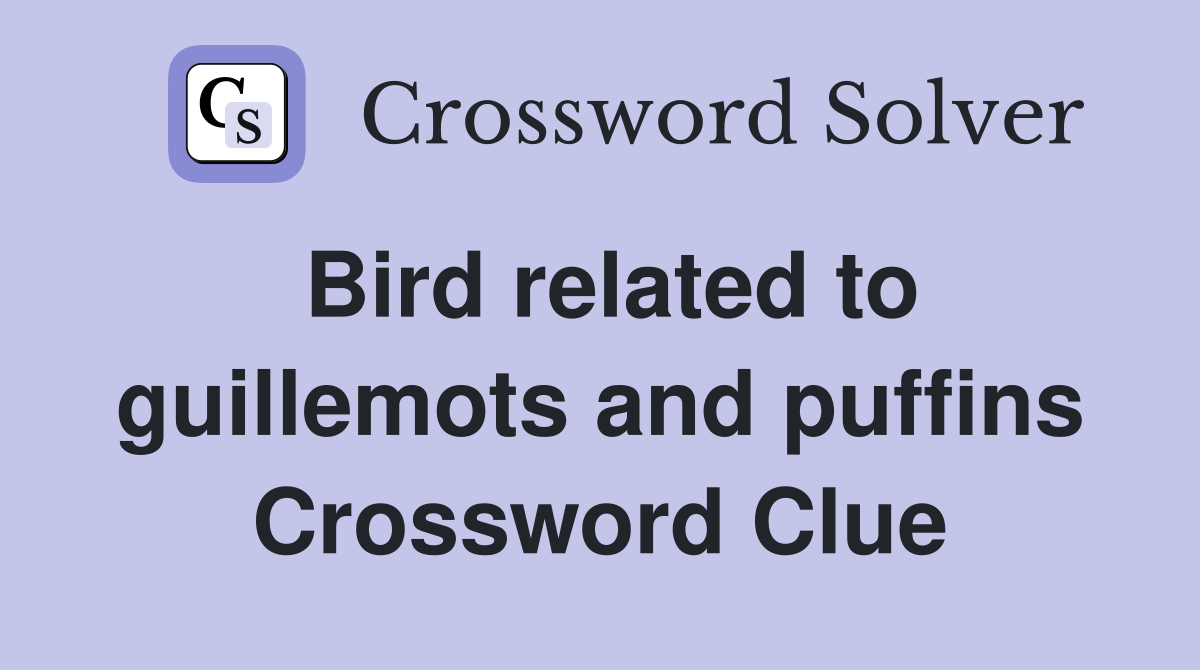 Bird related to guillemots and puffins Crossword Clue