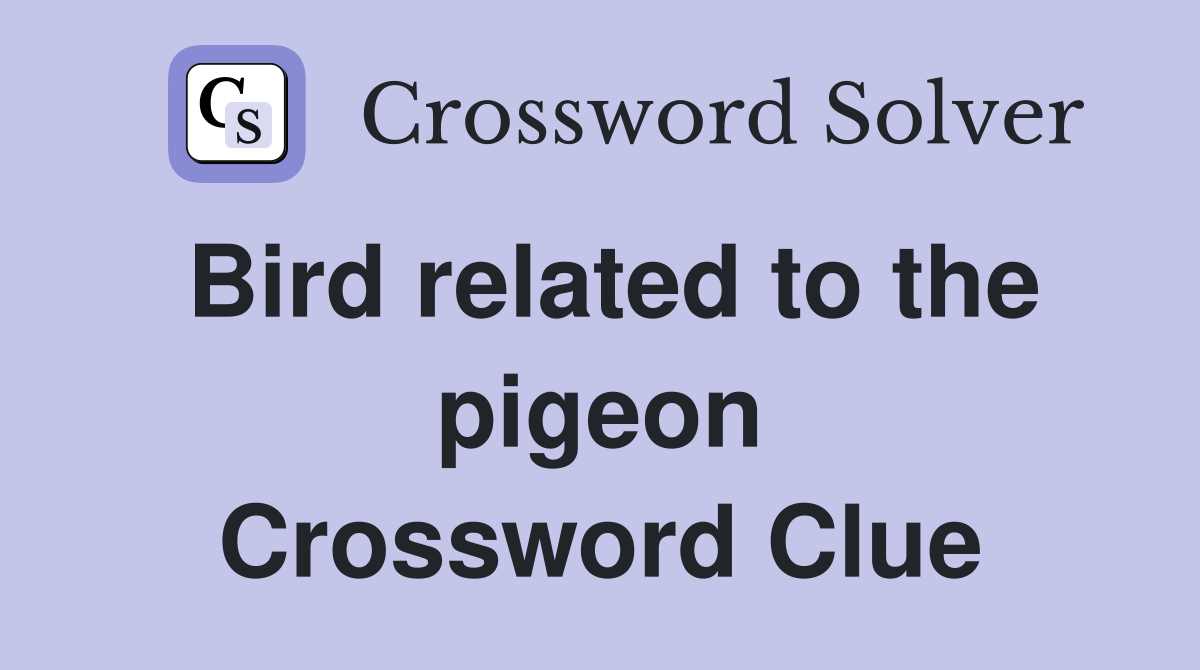 Bird related to the pigeon Crossword Clue