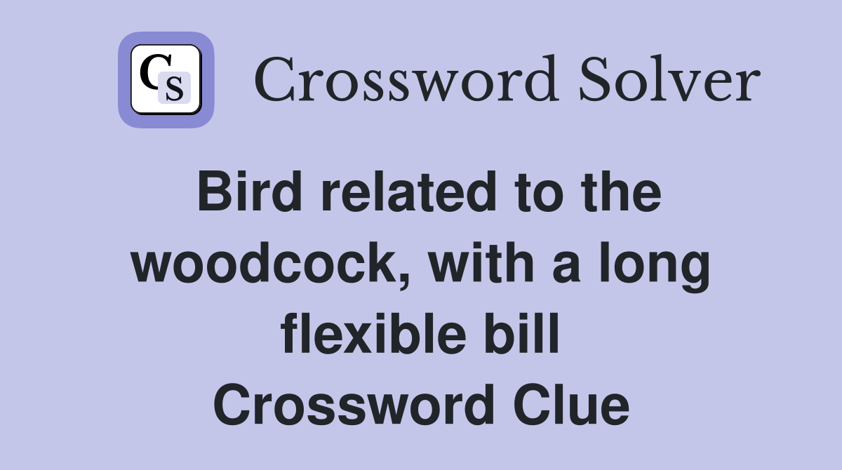Bird related to the woodcock, with a long flexible bill Crossword Clue