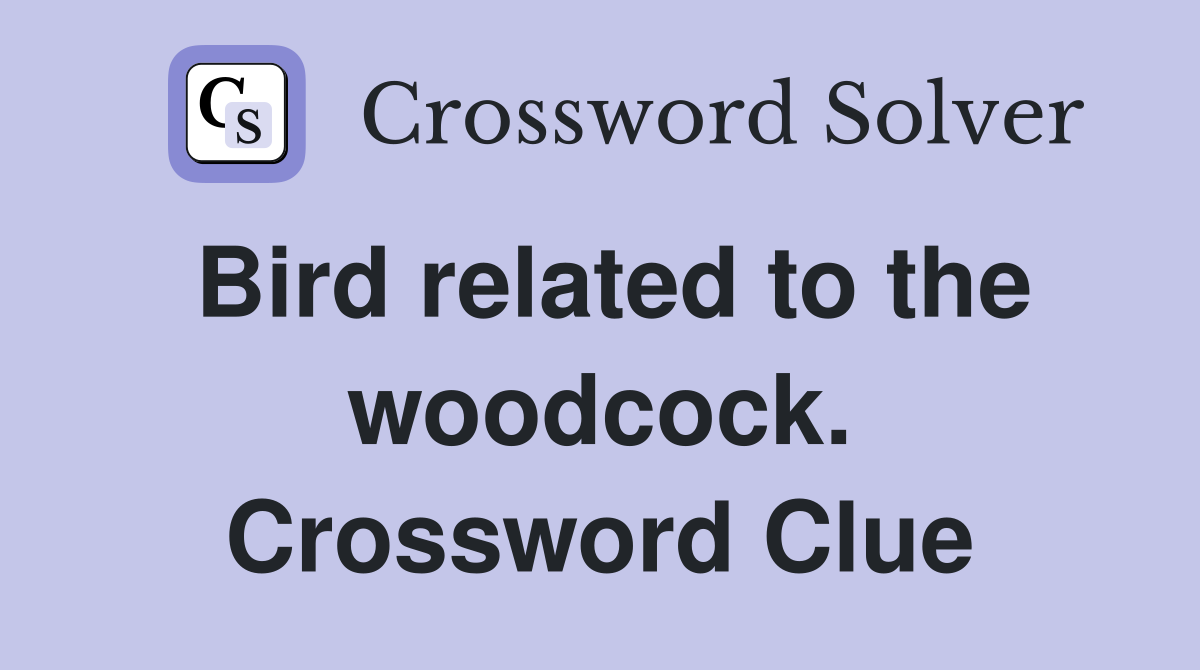 Bird related to the woodcock. Crossword Clue